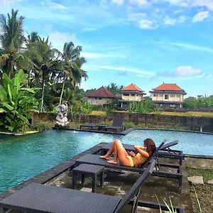 Rice Field House Hostel