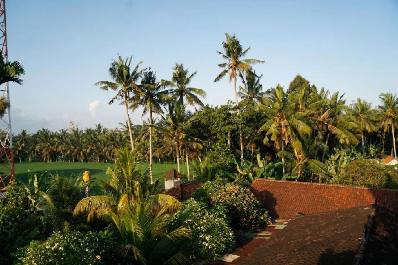 Ubud Backpacker Hostel  Ubud (Bali)